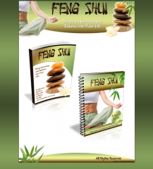 Feng Shui Minisite, Wordpress Theme, PLR eBook
